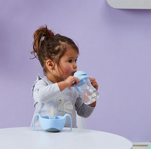 Load image into Gallery viewer, BBOX Sippy Cup with weighted straw