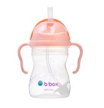 Load image into Gallery viewer, BBOX Sippy Cup with weighted straw