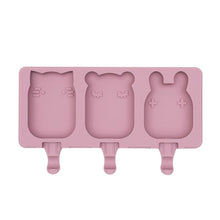 Load image into Gallery viewer, Frosties Healthy Kid Friendly Icy Pole Moulds