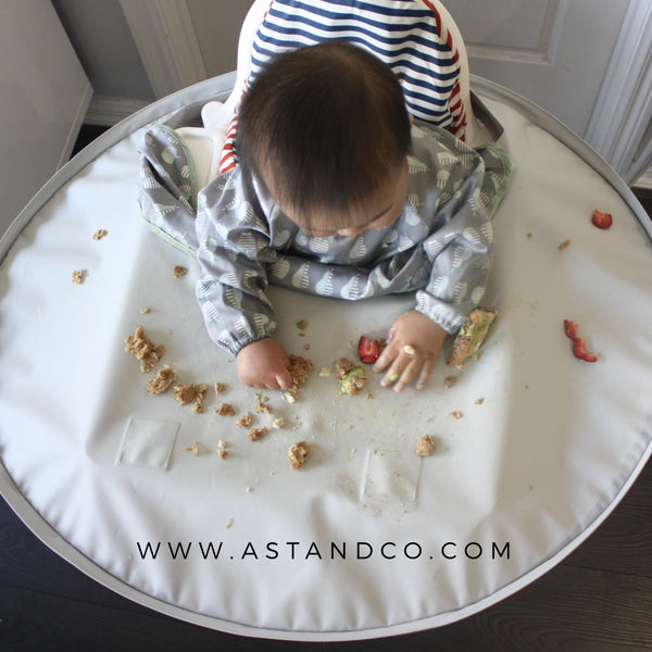 Baby Led Weaning 101 - One Australian Mum's experience with help using the Tidy tot