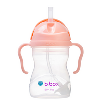 Load image into Gallery viewer, BBOX Sippy Cup with weighted straw
